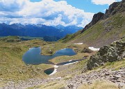 Laghi di Ponteranica dai Piani dell’Avaro con splendide fioriture – 1giu26  - FOTOGALLERY